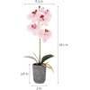 image:imageMikasa Artificial Orchid in Pot Real Touch Phalaenopsis Orchid Faux Aged Cement Pot 22Inch Double Branch WhiteYellowWatercolor Pink