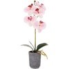 image:imageMikasa Artificial Orchid in Pot Real Touch Phalaenopsis Orchid Faux Aged Cement Pot 22Inch Double Branch WhiteYellowWatercolor Pink