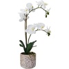image:imageMikasa Artificial Orchid in Pot Real Touch Phalaenopsis Orchid Faux Aged Cement Pot 22Inch Double Branch WhiteYellowWhiteYellow