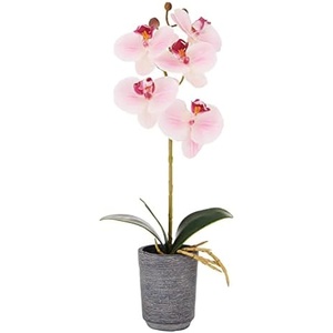image:imageMikasa Artificial Orchid in Pot Real Touch Phalaenopsis Orchid Faux Aged Cement Pot 22Inch Double Branch WhiteYellowWatercolor Pink