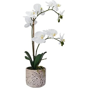 image:imageMikasa Artificial Orchid in Pot Real Touch Phalaenopsis Orchid Faux Aged Cement Pot 22Inch Double Branch WhiteYellowWhiteYellow